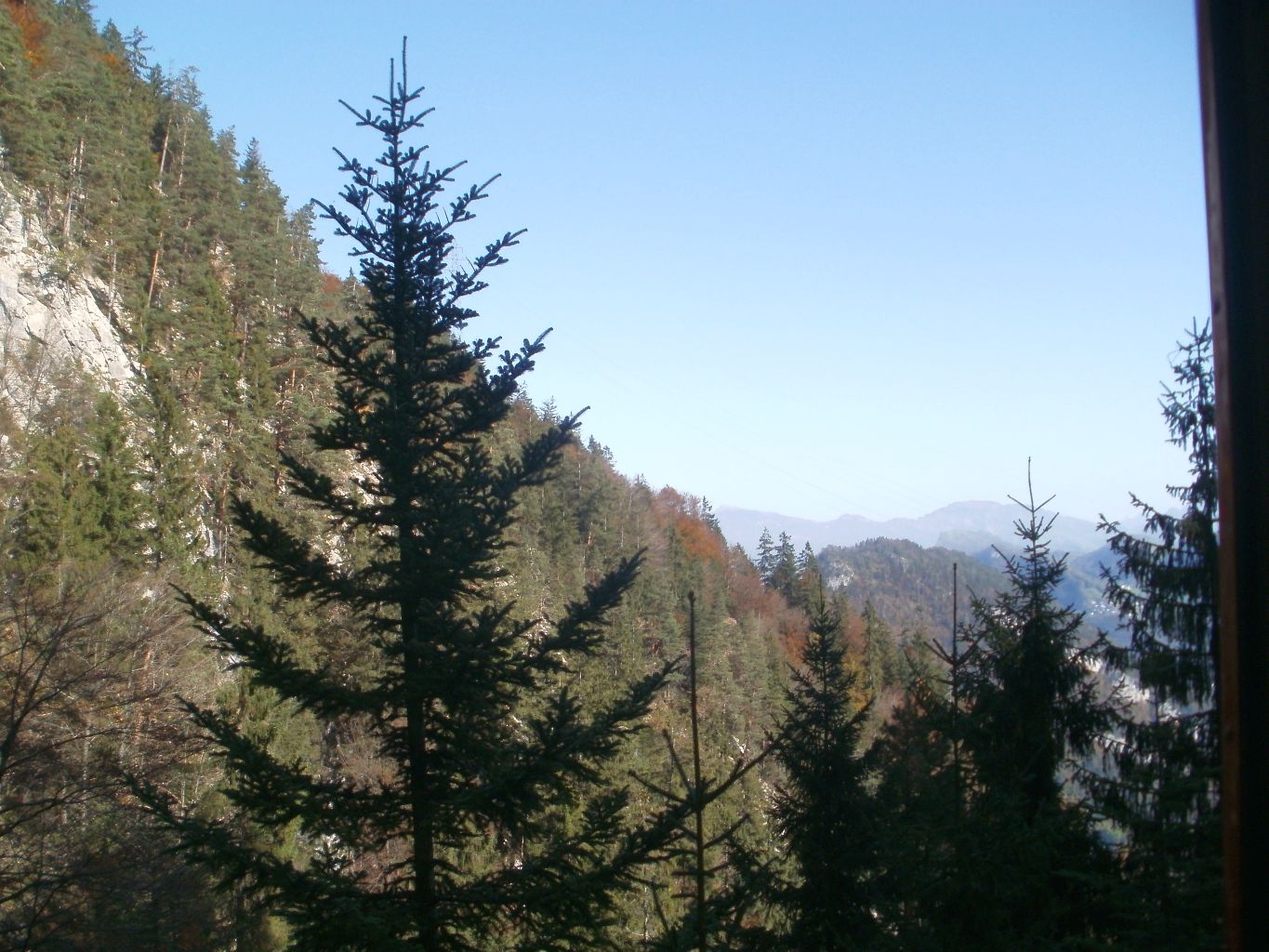 PA210312